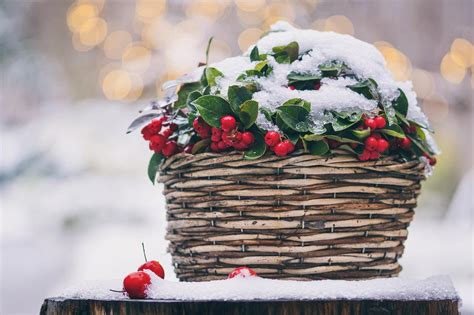 tuinieren in de winter otg leerdam