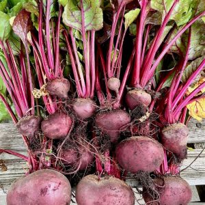 eigen moestuin huren otg leerdam