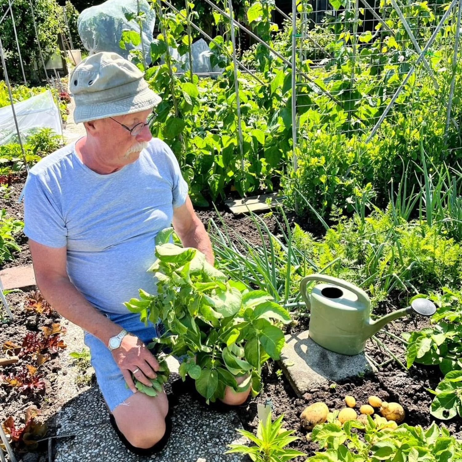 tuinieren in eigen volkstuin otg leerdam