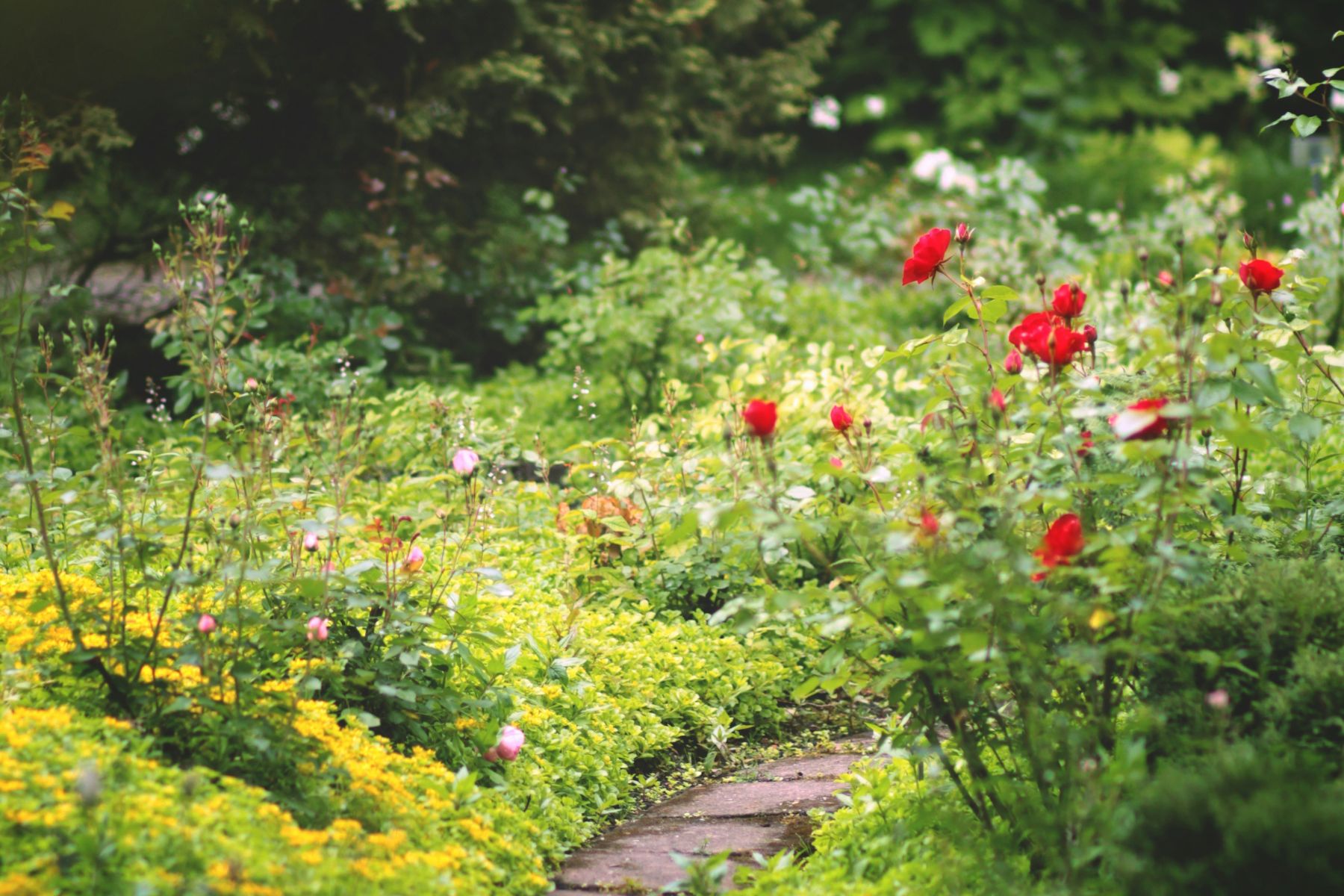 je eigen tuin bij volkstuinvereninging otg